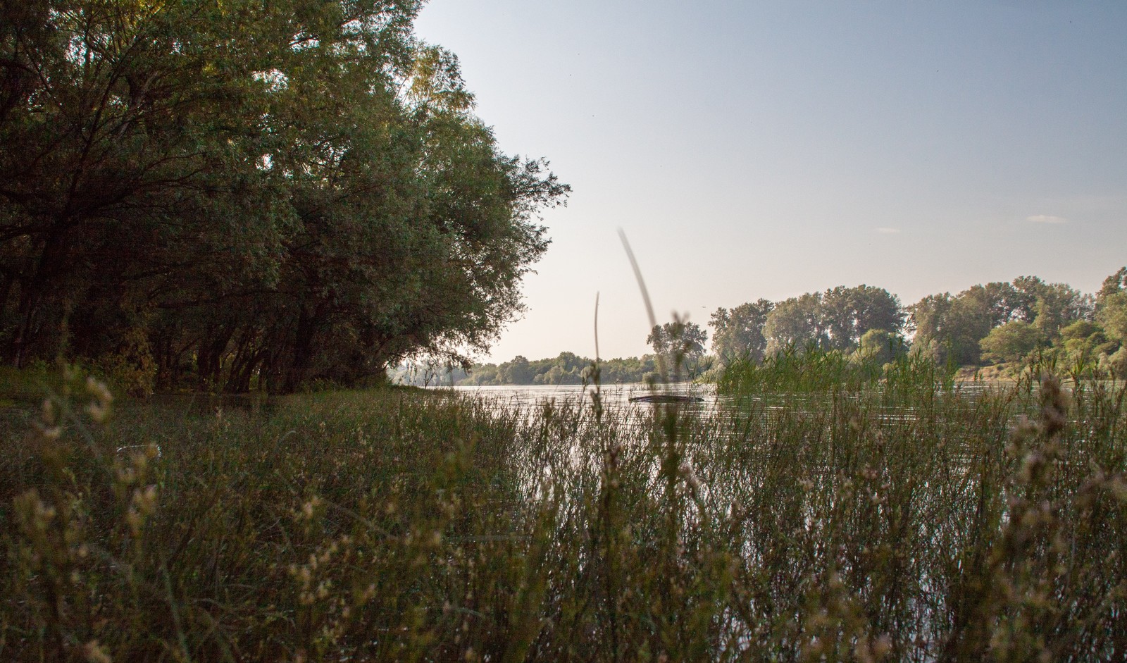 Cycling along the outskirts of Krasnodar towards the reservoir - My, A bike, The photo, Krasnodar, Morning, Kuban, River, Reservoir, Longpost