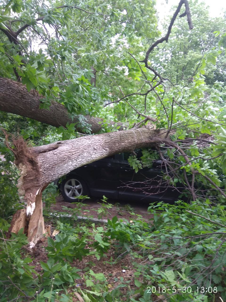 Yesterday's Nizhny Novgorod - Nizhny Novgorod, Hurricane, Vaneeva