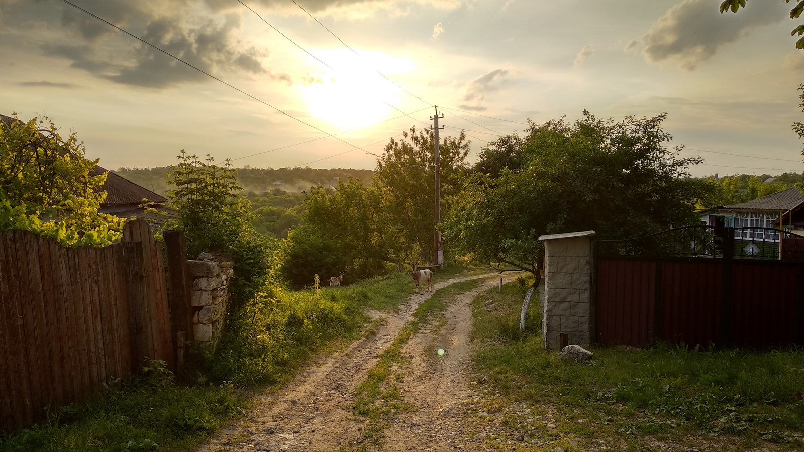 Закат в деревне - Моё, Деревня, Закат, Коза