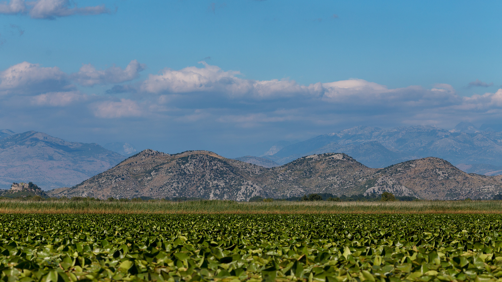 Skadar Lake - My, Montenegro, , Longpost, The photo