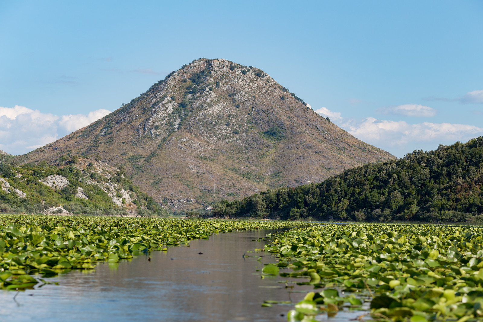 Skadar Lake - My, Montenegro, , Longpost, The photo