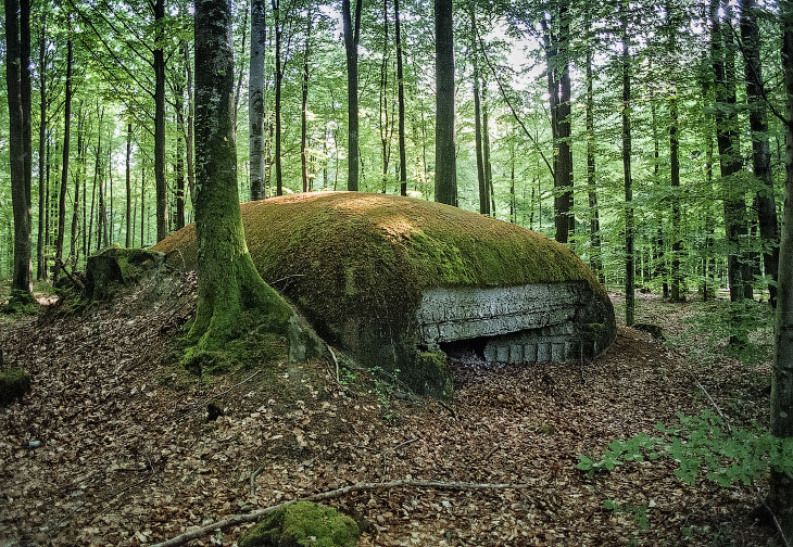 What the battlefields of the First World War look like a hundred years later. - World War I, Story, The photo, France, Belgium, Longpost