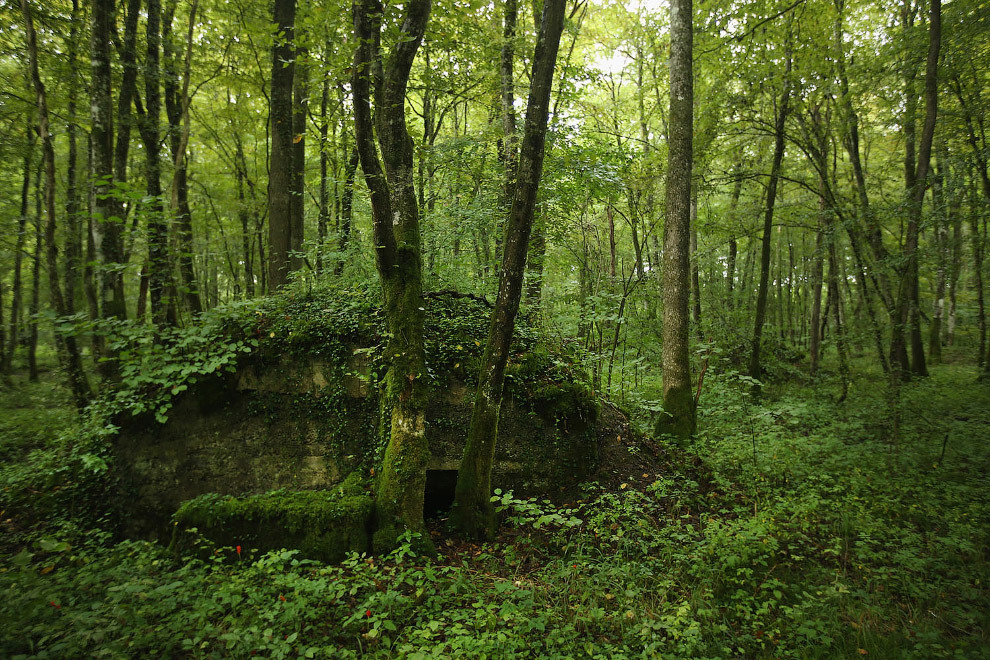 What the battlefields of the First World War look like a hundred years later. - World War I, Story, The photo, France, Belgium, Longpost