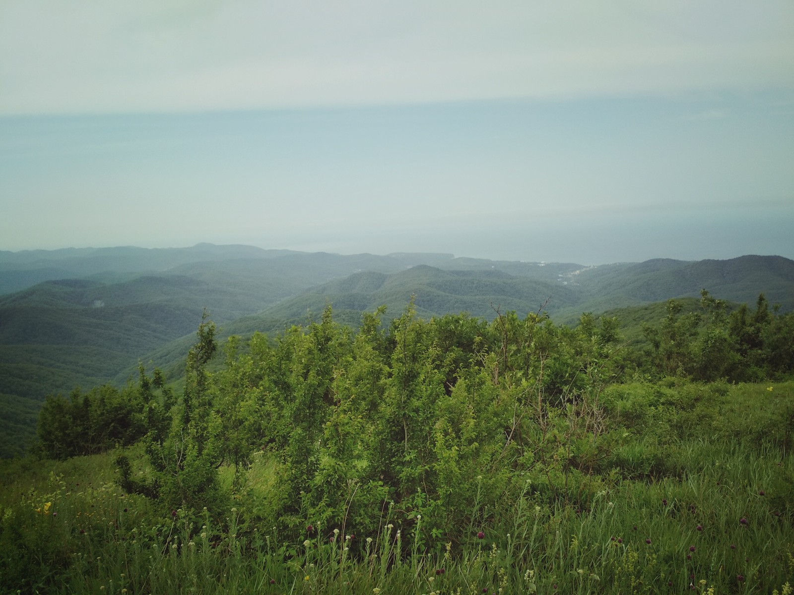 Mountains of the Krasnodar Territory - My, Краснодарский Край, Hike, The mountains, Eaglet, Tourism, Longpost, Photo on sneaker