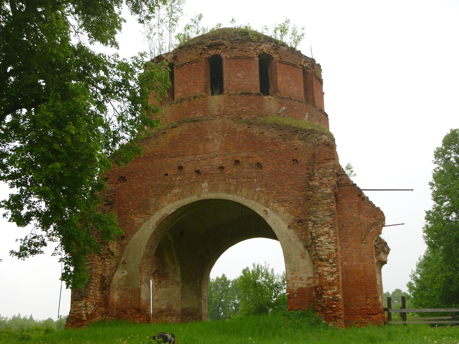 Remains of the church - My, Longpost, , Ruins, Kaluga region, Church, Ruin