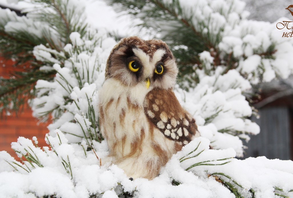 Felting* Rough-legged owl. - My, Wallow, Dry felting, Needlework without process, Needlework, Creation, Birds, Predator birds