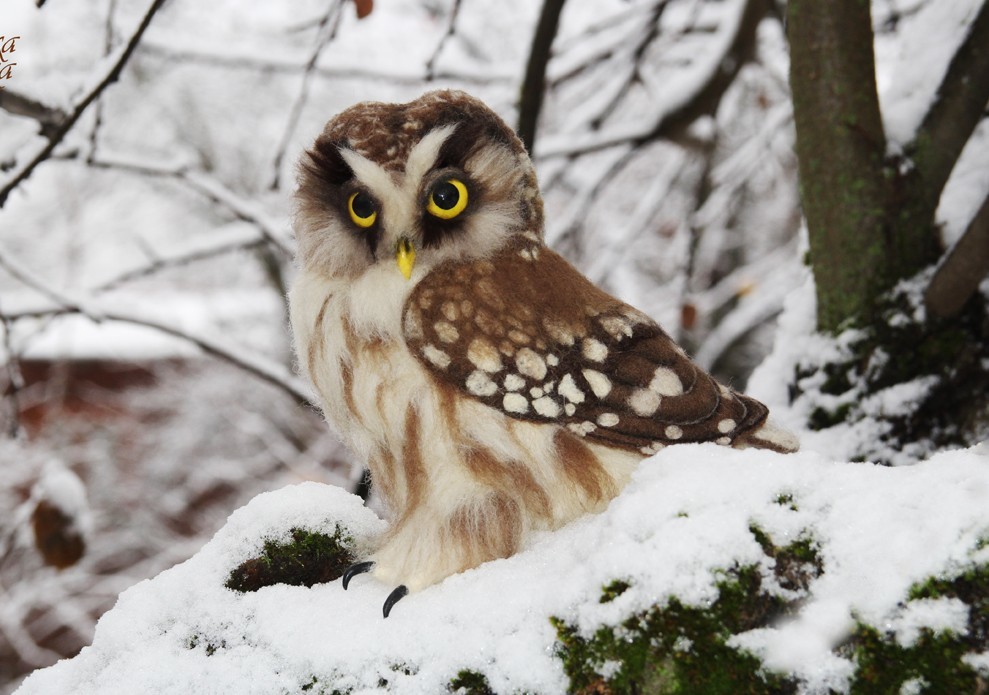 Felting* Rough-legged owl. - My, Wallow, Dry felting, Needlework without process, Needlework, Creation, Birds, Predator birds