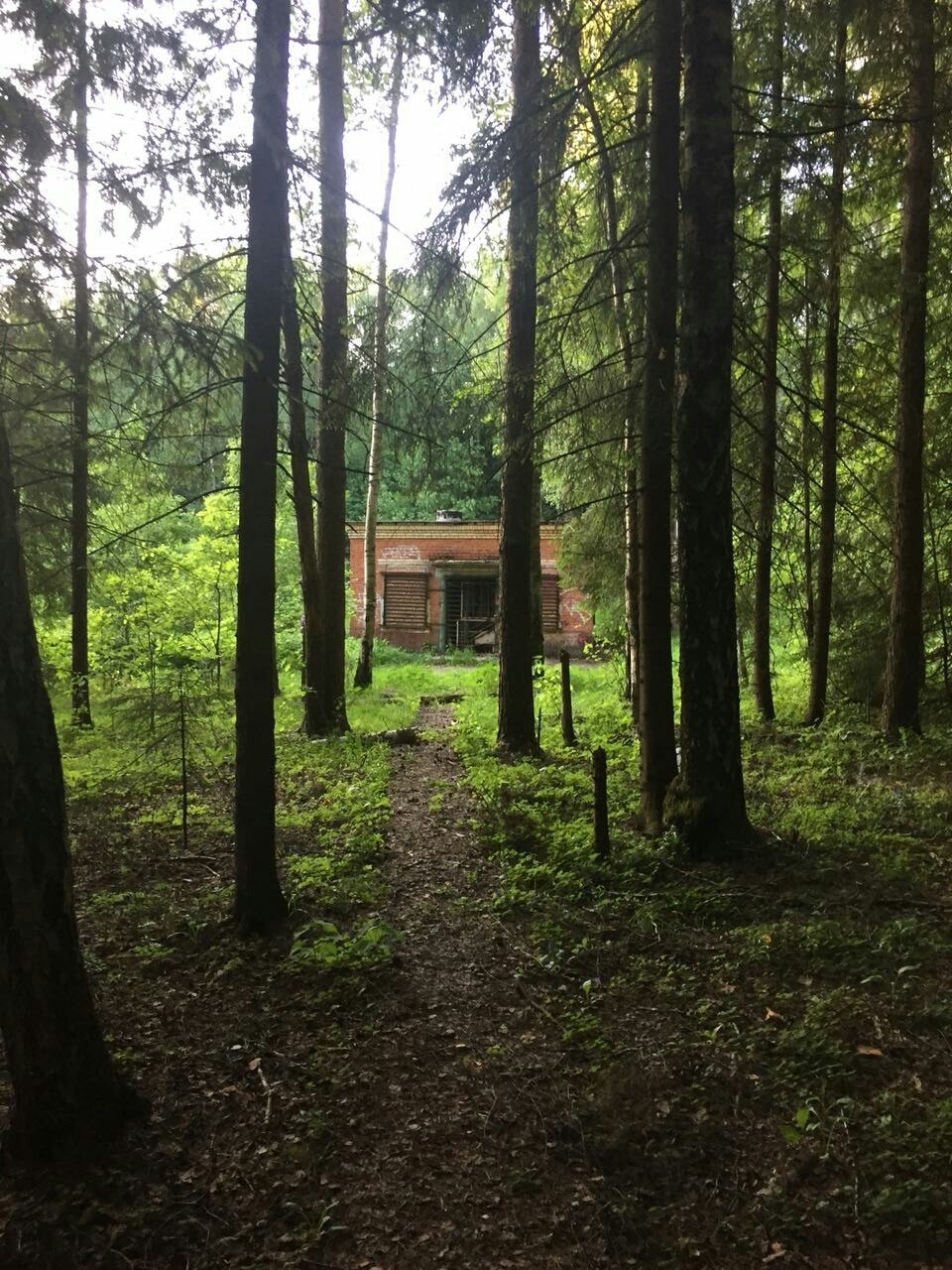 Mysterious building. - My, Cast, What's this?, Ruins, Longpost