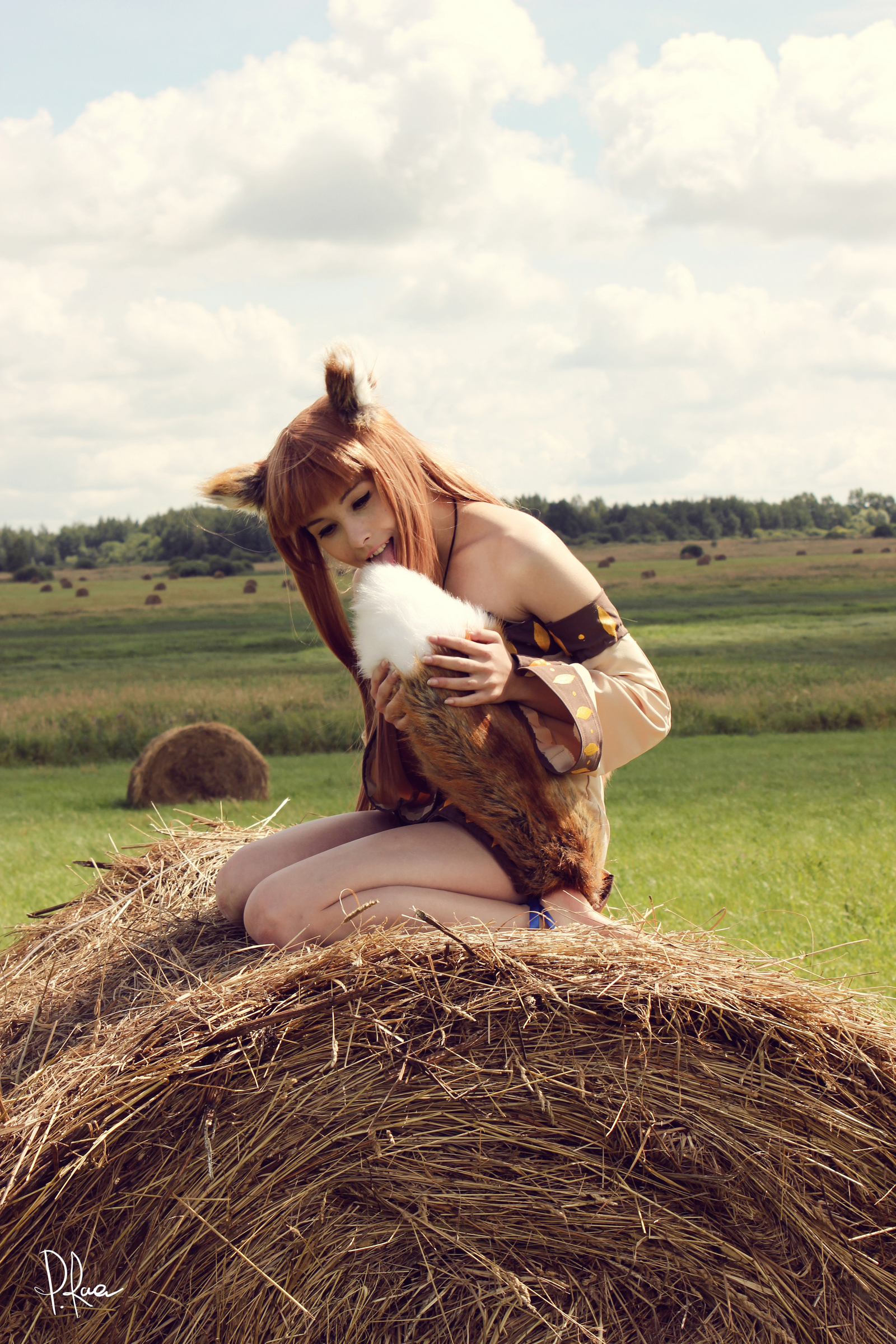 Spice and Wolf - NSFW, Spice and Wolf, Horo holo, Tail, Cosplay, Longpost