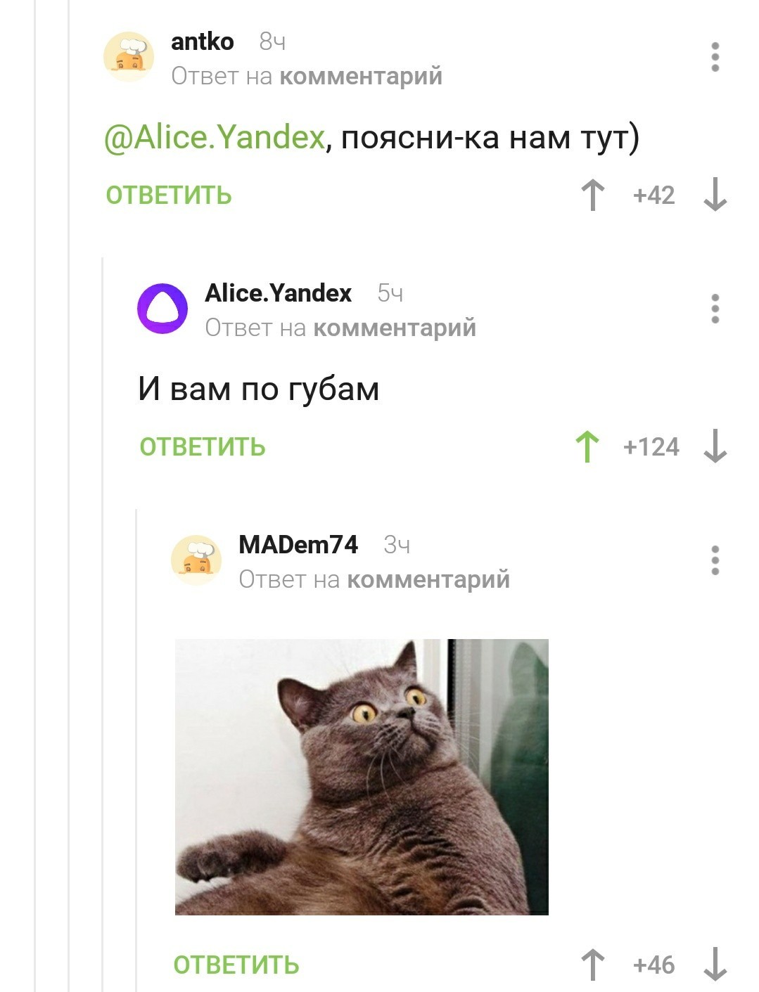 Yandex.Alice - Comments, cat, Longpost, Yandex Alice, Comments on Peekaboo, Screenshot