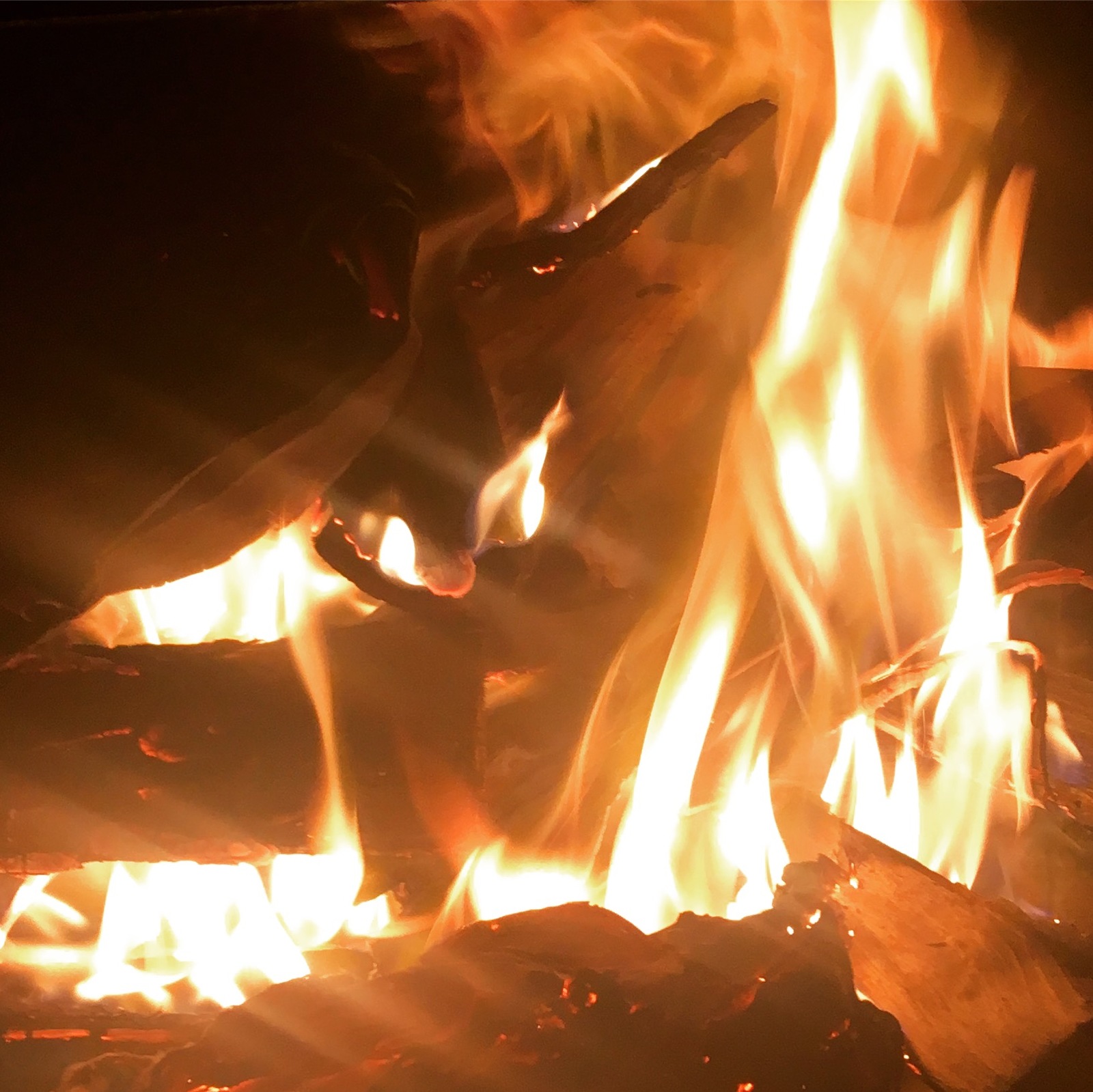 Fiery sunset and fiery horse - My, Fire, Bonfire, Sunset, beauty, Longpost