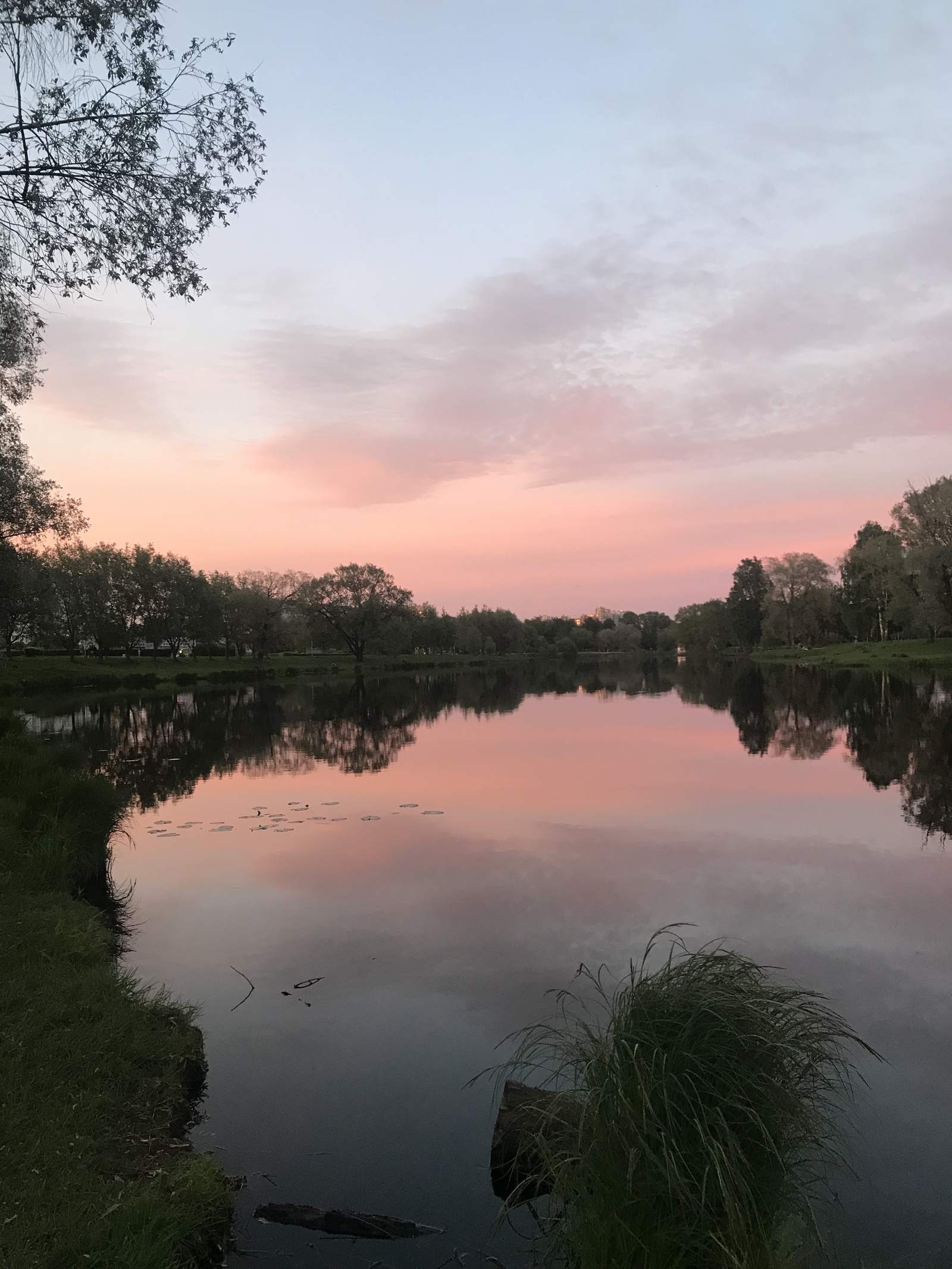 You must see it - My, Saint Petersburg, Nature, Sky, beauty, The photo, I'm an artist - that's how I see it, Sunset, Longpost