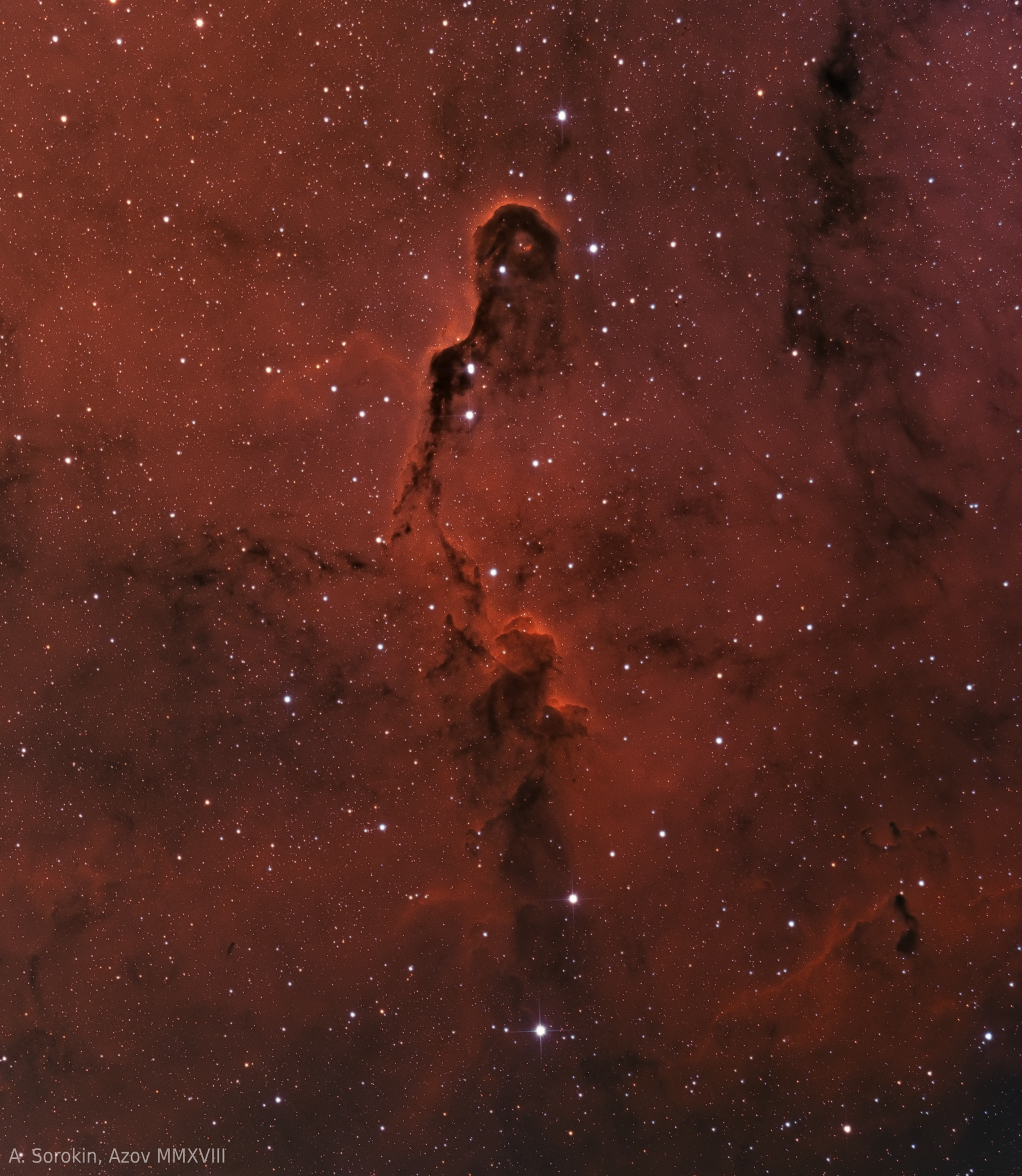 IC 1396A, Elephant Trunk Nebula, Bicolor - My, Astrophoto, Astronomy, Telescope, Space, Nebula