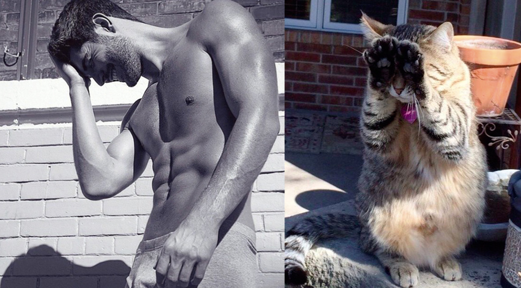 MEN LIKE CATS - Playgirl, Girls, Men, Guys, Torso, cat, Pumped up, Muscle, Longpost