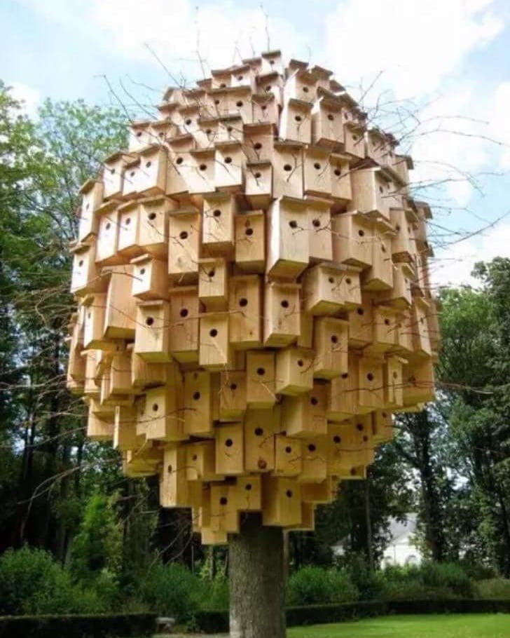 Hostel for birds. - Birdhouse, Dormitory