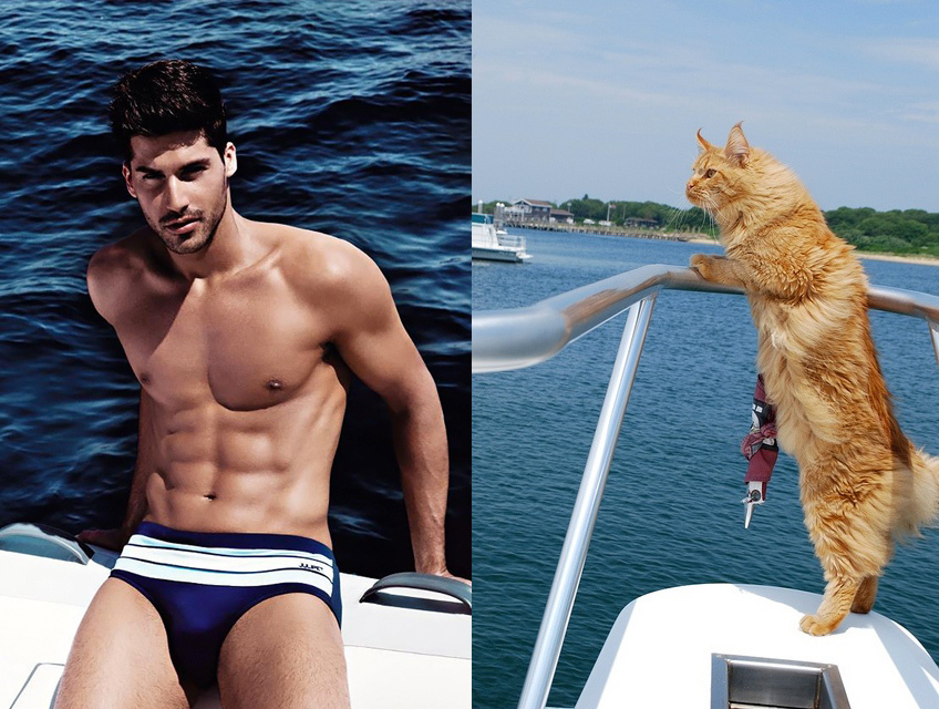 MEN LIKE CATS - Men, Guys, cat, Girls, Pumped up, Torso, Muscle, Playgirl, Longpost