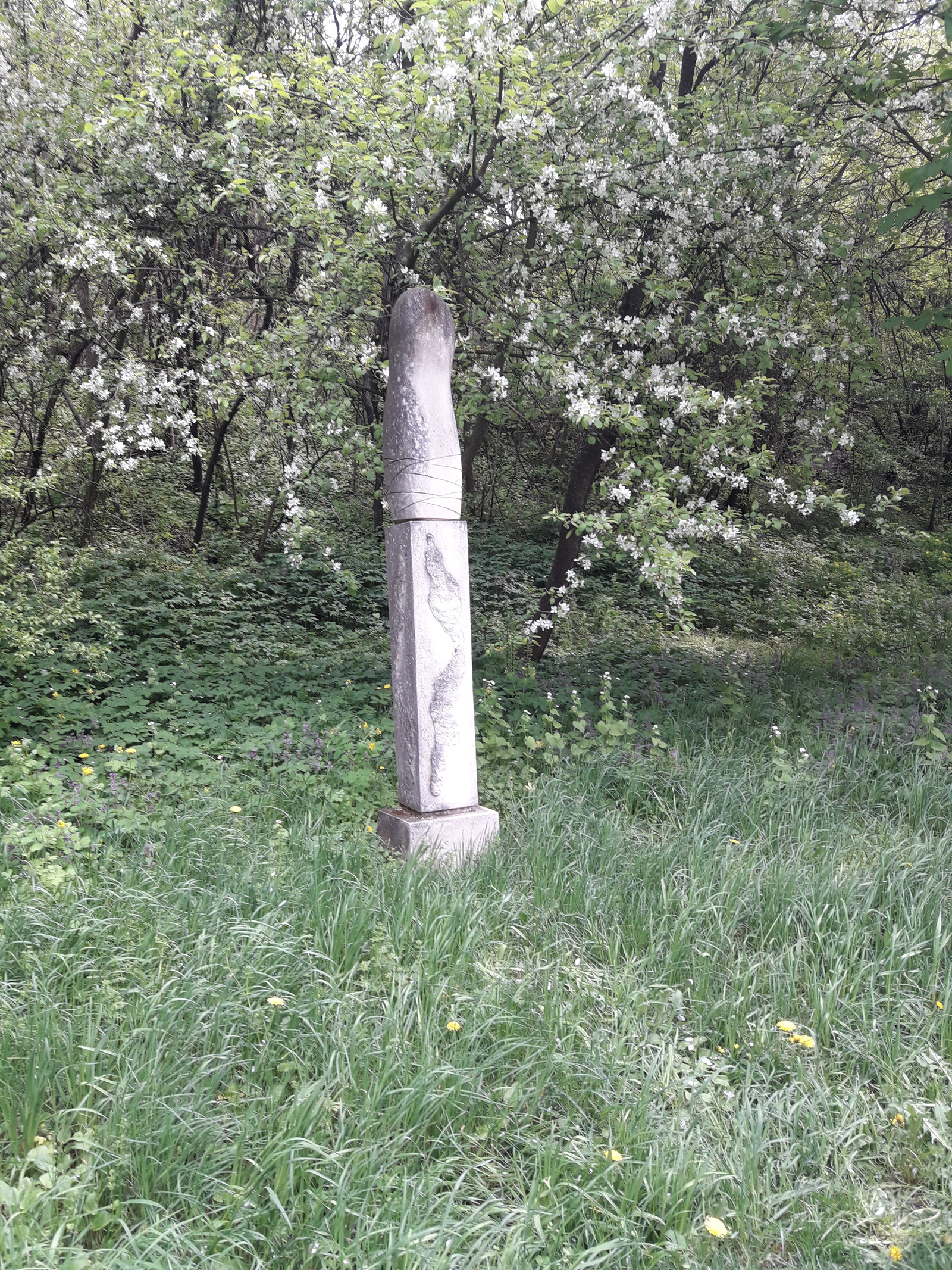 Олеський замок - Моё, Олеський замок, Золотая подкова, Львов, Фотография, Длиннопост