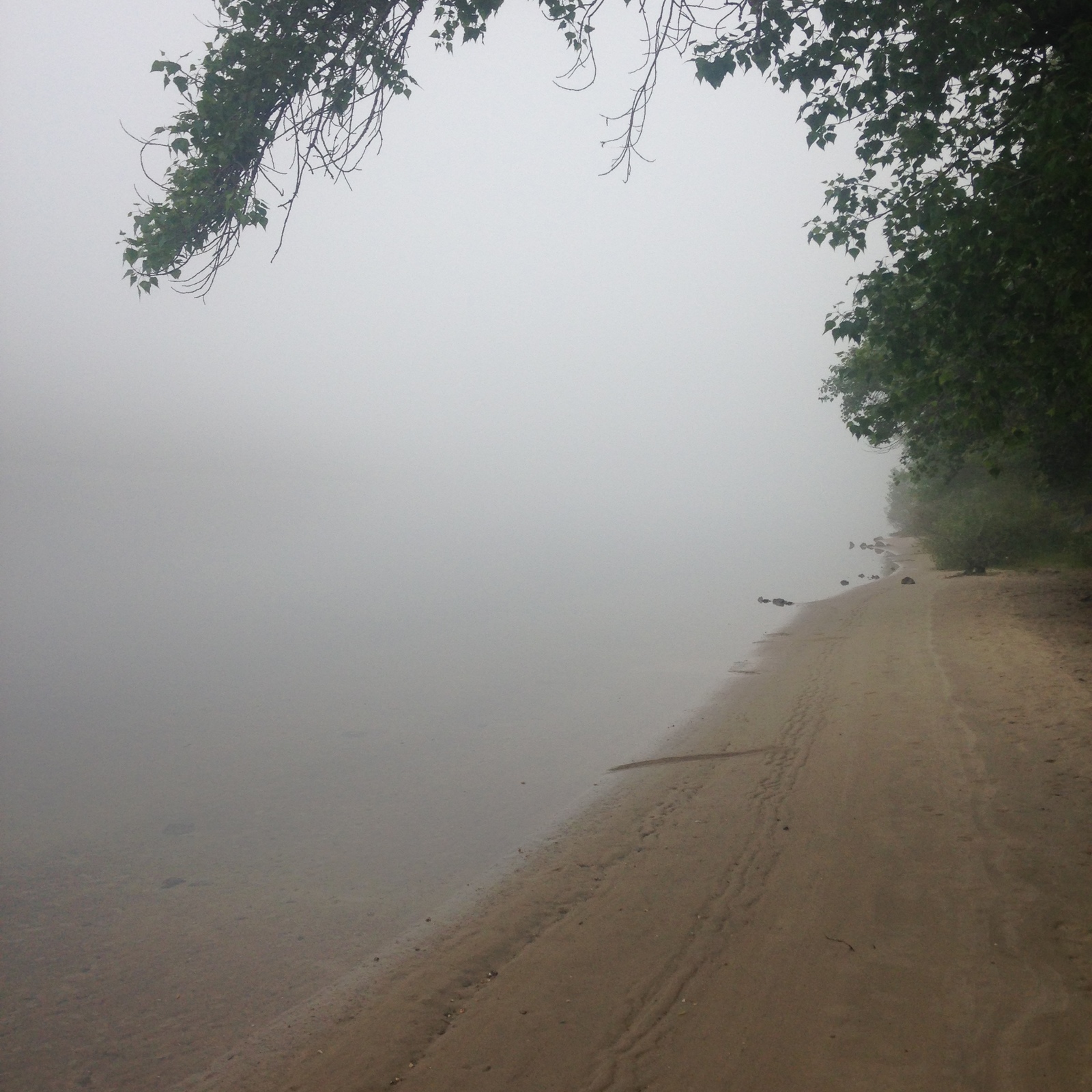 On the island Khortitsa at 6 am. Is it beautiful?) - My, Khortytsia, Island, Fog, Longpost