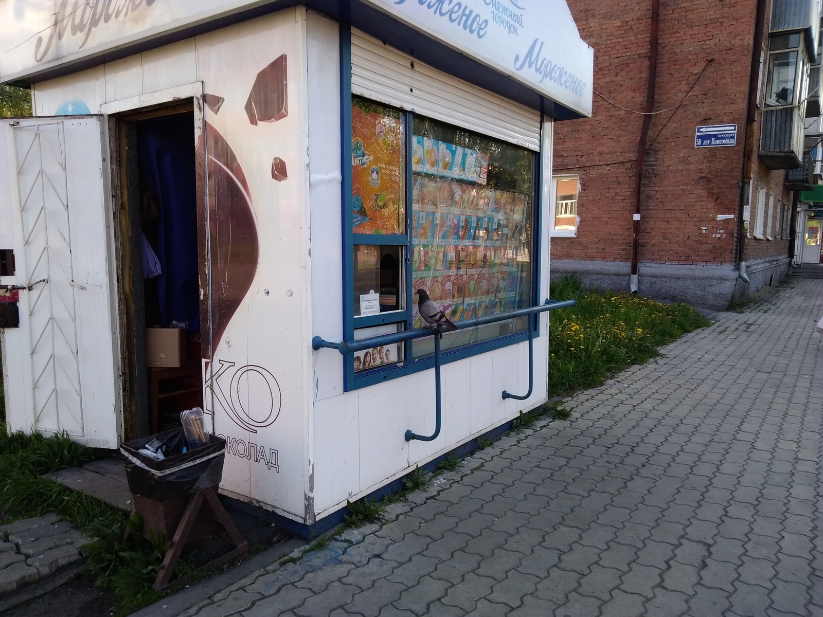 Have you ever seen such a thing? - My, Pigeon, Ice cream, Difficult choice