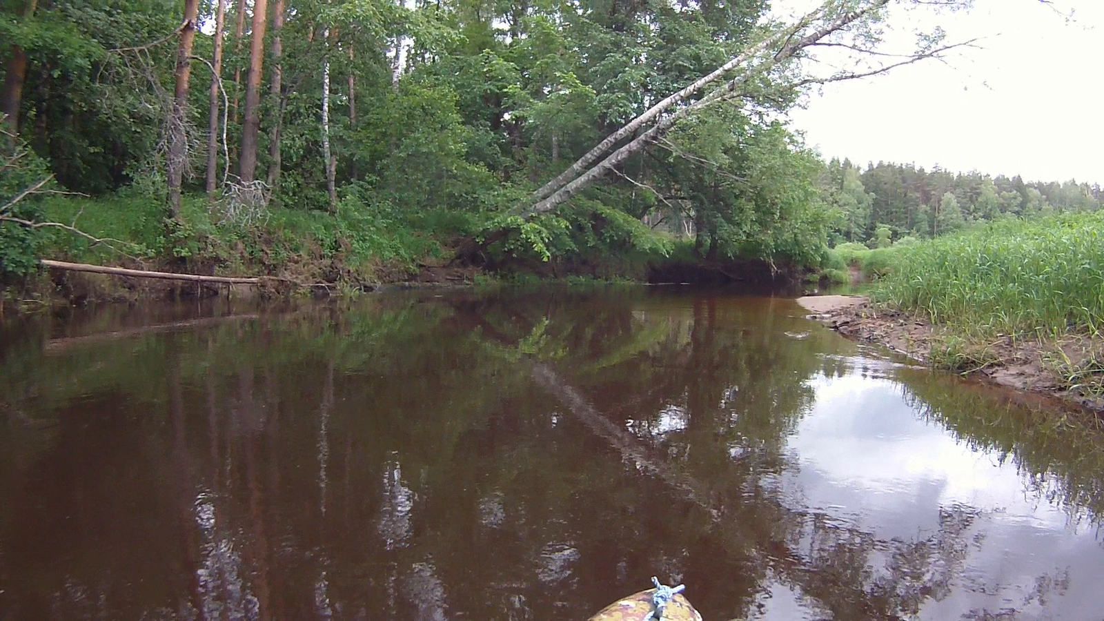 Rafting in the Moscow region Nerskaya river - My, Alloy, Hike, PVD, Relaxation, Longpost, GIF