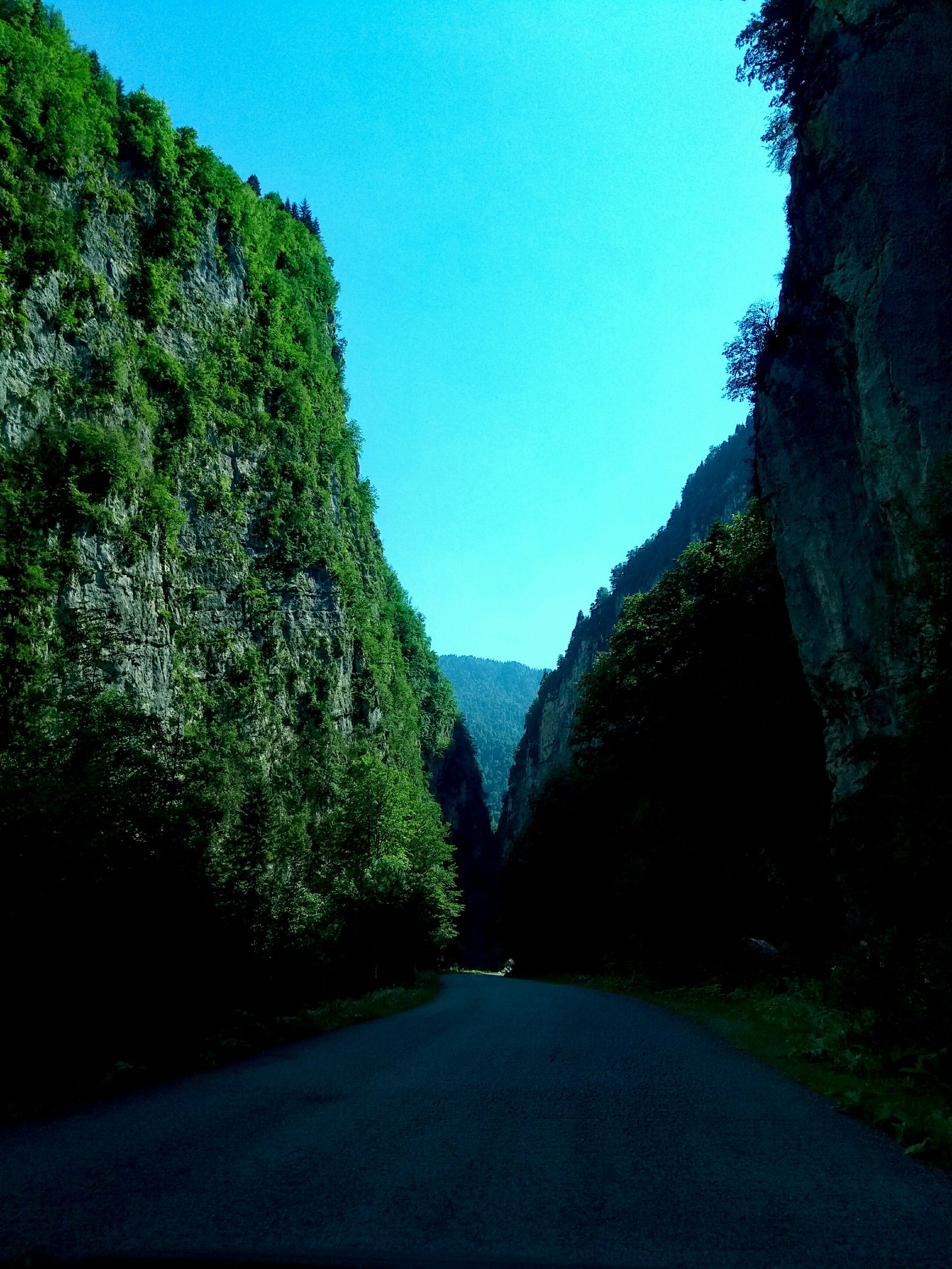 Lake Ritsa - My, Abkhazia, Ritsa, Mentality, Relaxation, Gagra, Sochi, Drive, Sea, Longpost