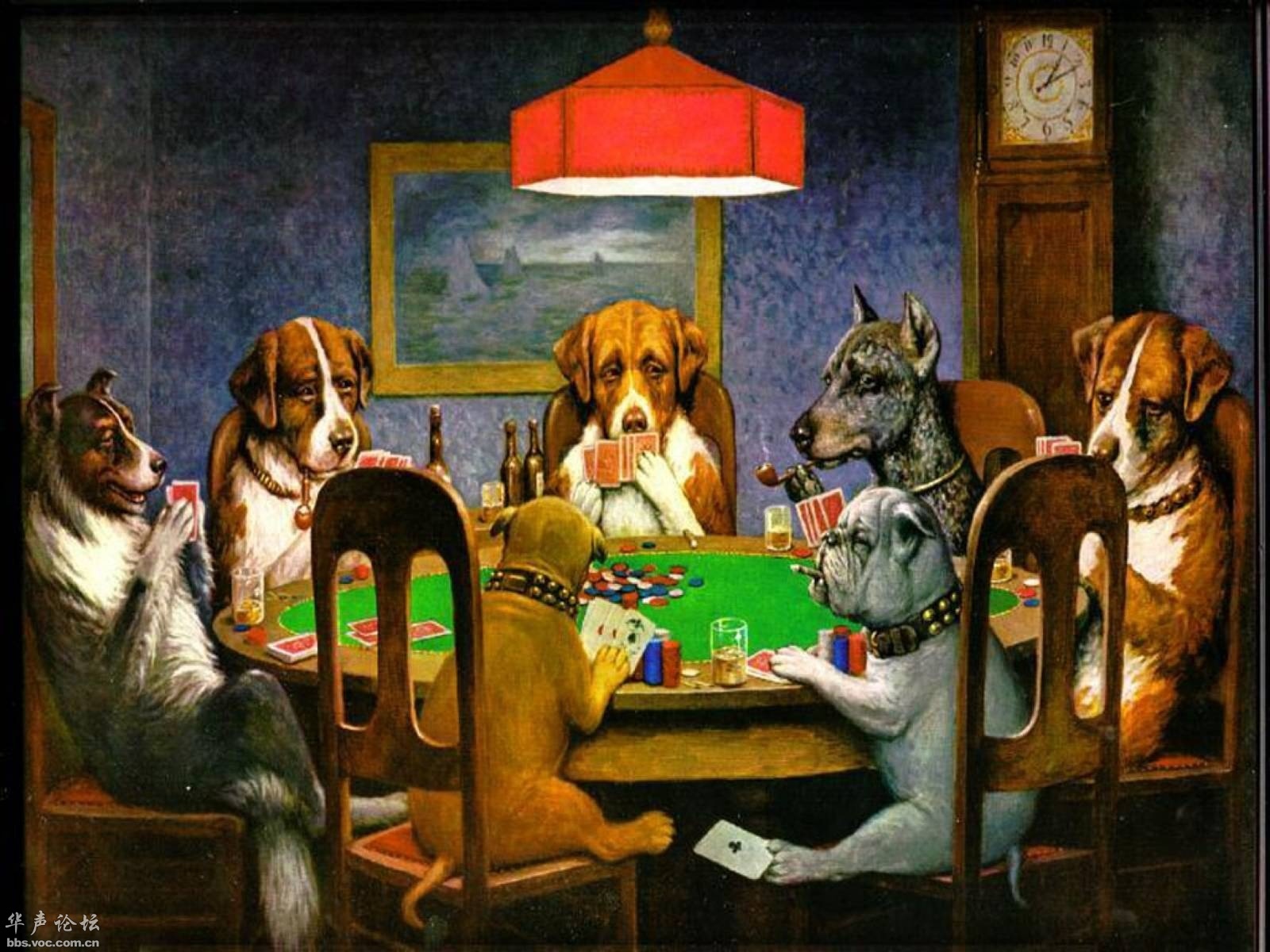 When a friend is not rushing - Dog, Cards, Help