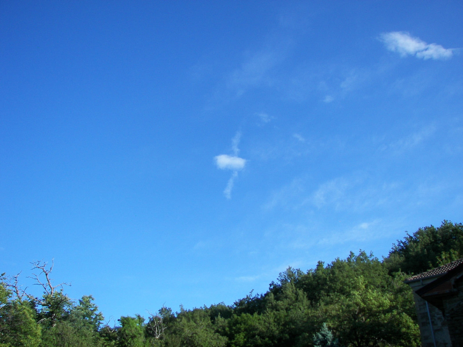 Stairway to the sky and other flying objects - My, Friday tag is mine, Clouds, Led zeppelin, , Stairway to Heaven, Tadpoles, Longpost