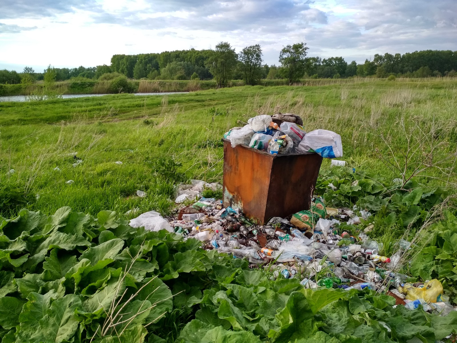 If you feel useless, remember this container by the lake - My, Chistoman, Purity, Ufa, Garbage, Ecology