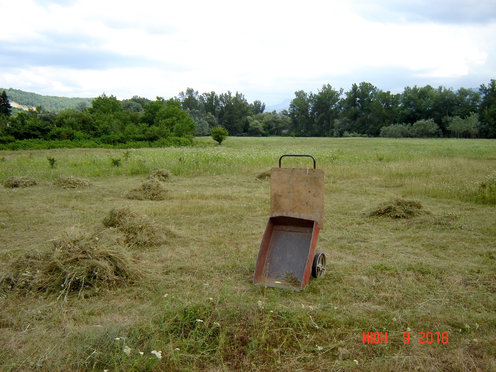 Haymaking, a sketch from village life - My, Haymaking, , Longpost