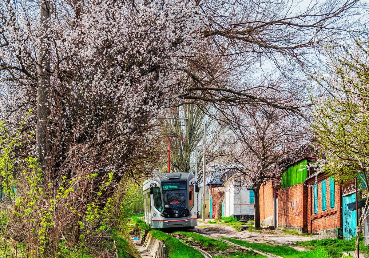 Photos with trams - My, The photo, Tram, Canon, Public transport, Longpost