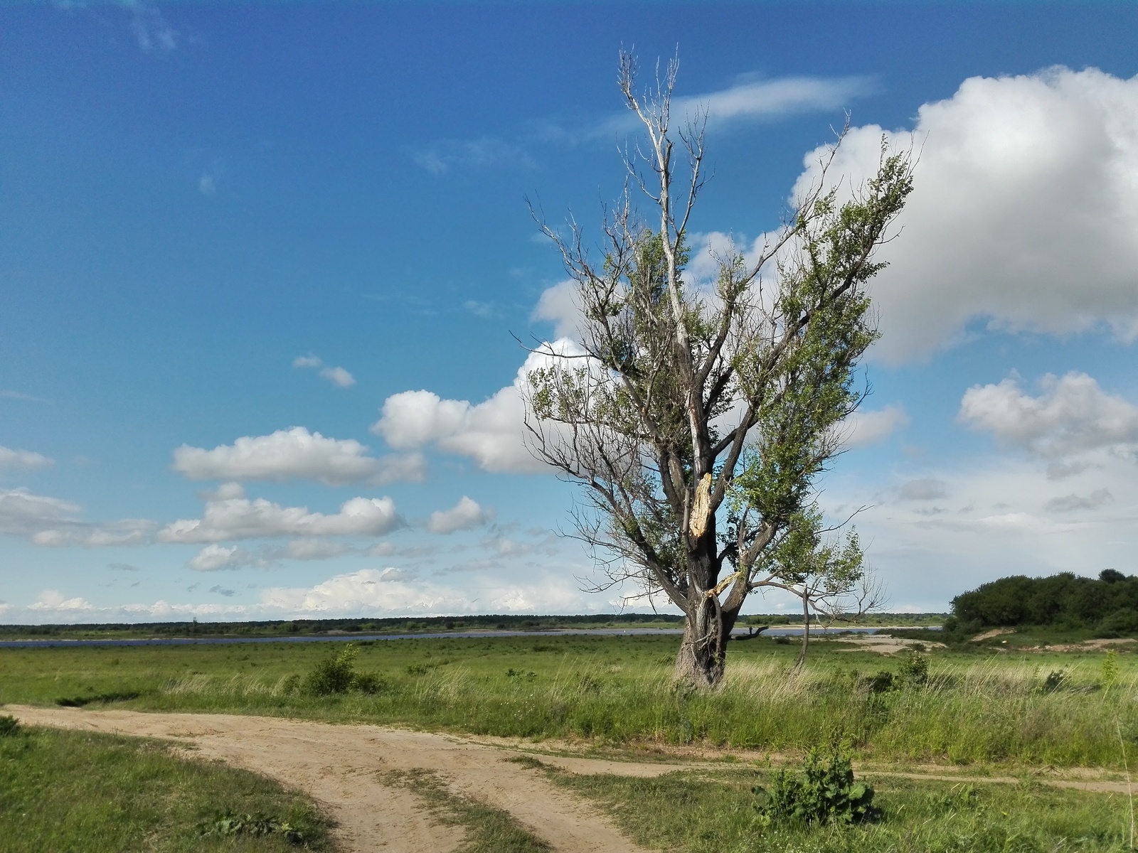 On the Volga - My, Volga river, A bike, River, Longpost