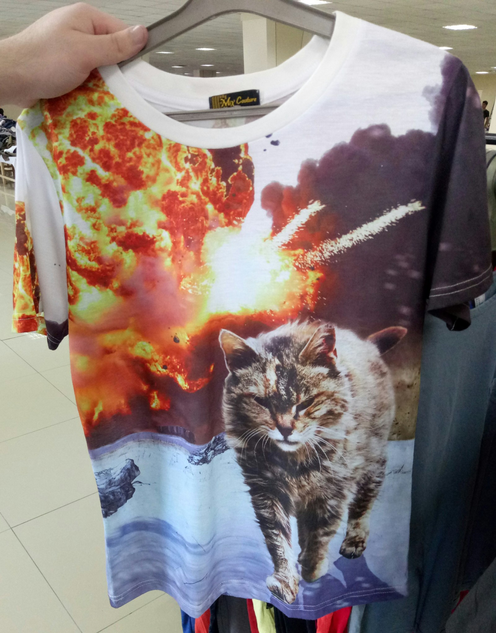 Epic cat - My, cat, T-shirt, Explosion