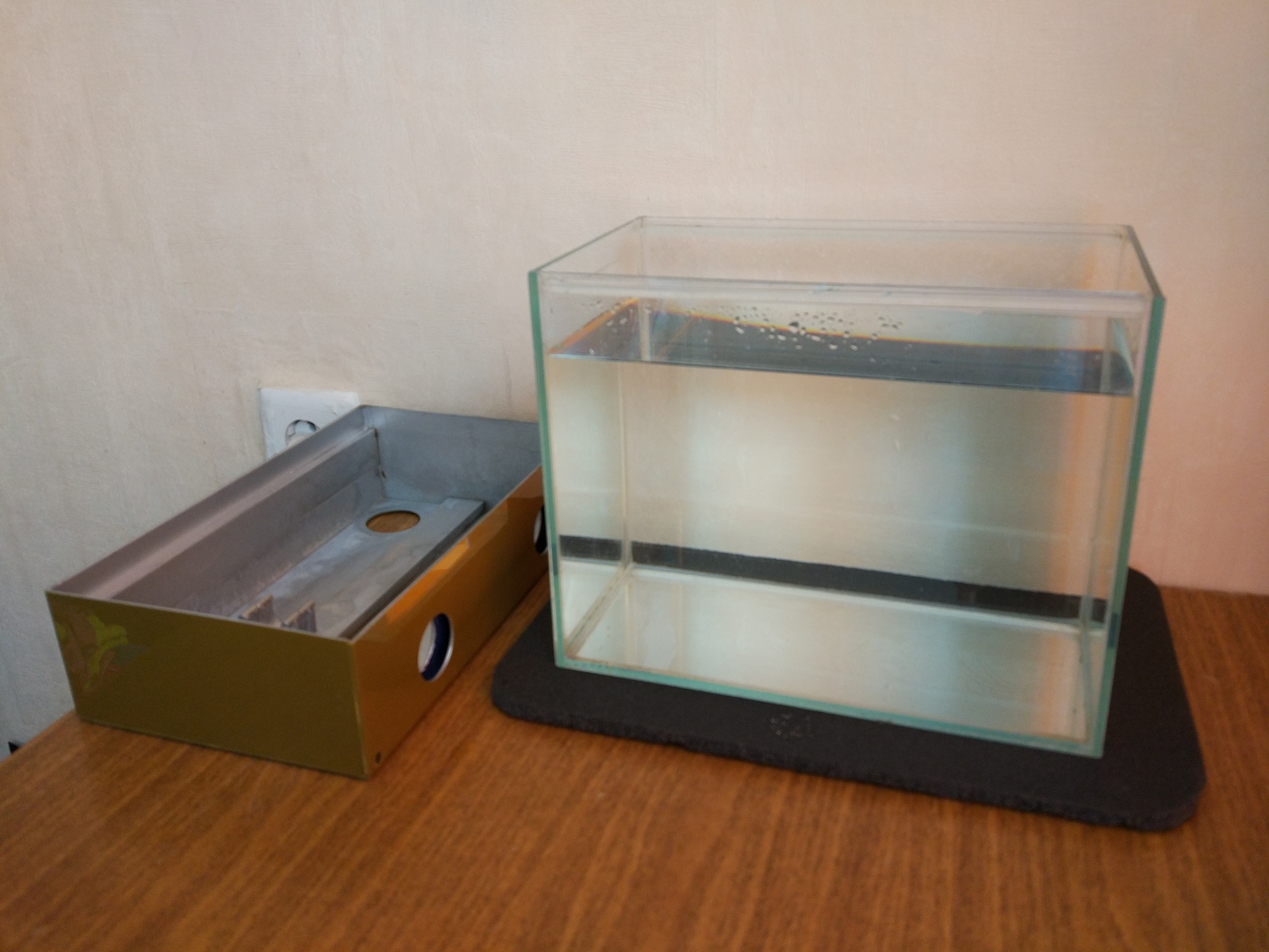 My first aquarium: starting from scratch - My, Aquarium, Aquarium fish, cat, Aquarium, Cockerel fish, Longpost