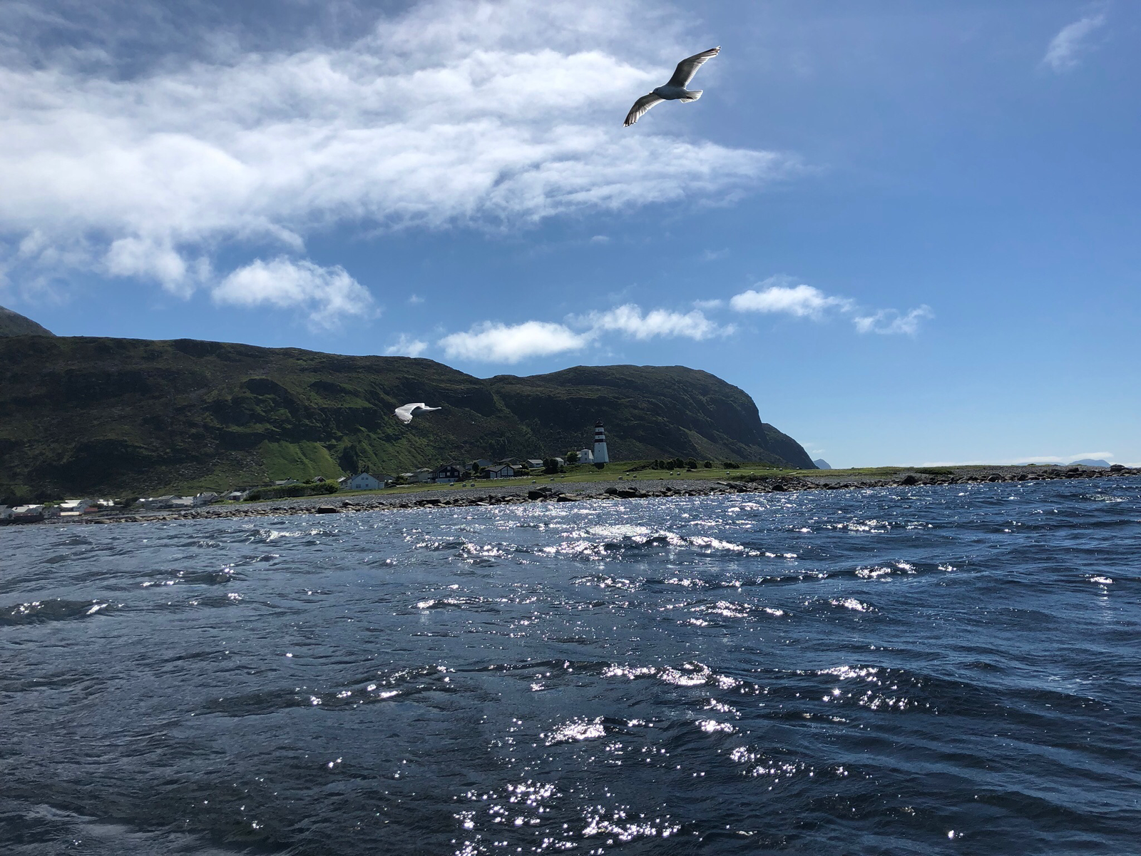 About fishing - My, Norway, Longpost, Fishing, Crab, Personal experience