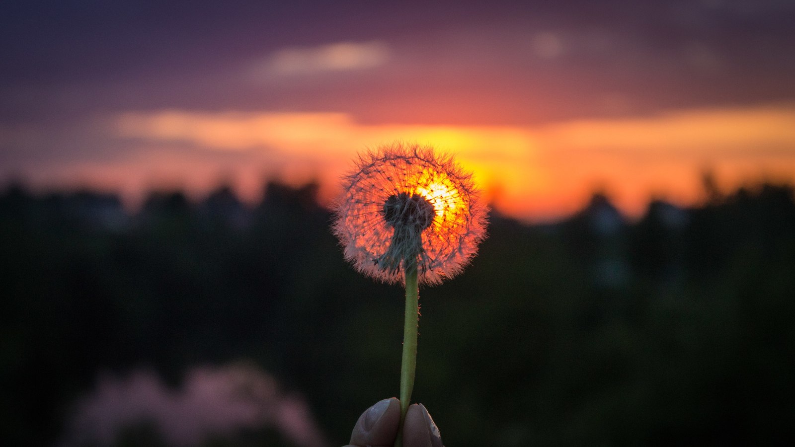 sunsets. - My, Sunset, Nature, Beginning photographer, Canon, Longpost, The photo