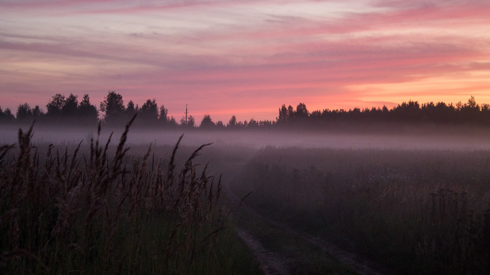 sunsets. - My, Sunset, Nature, Beginning photographer, Canon, Longpost, The photo