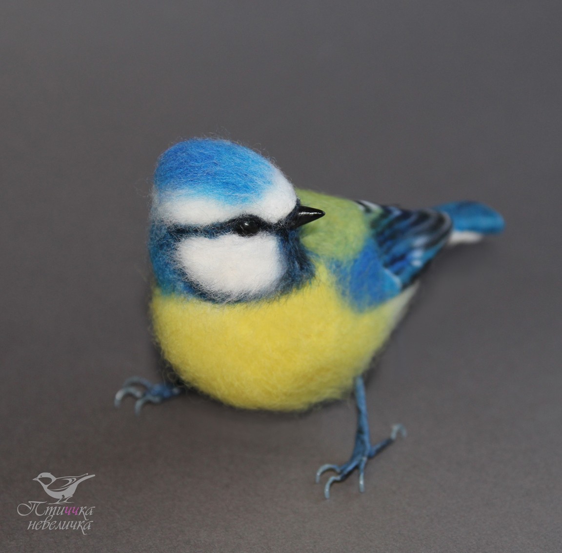 Blue Tit. Dry felting. - My, Dry felting, Needlework without process, Tit, Birds, With your own hands, Handmade, Creation, Longpost