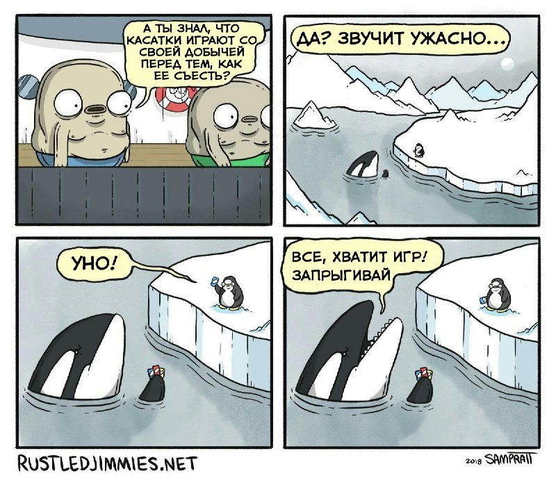 Sly killer whales - Comics, Picture with text, Cunning, Killer whale