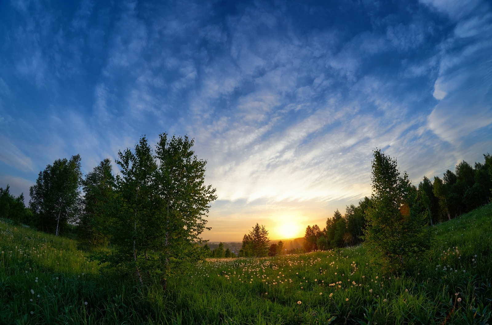 June evening in Siberia - My, Siberia, Nature, Sunset, HDR, Summer, Longpost, Prokopyevsk