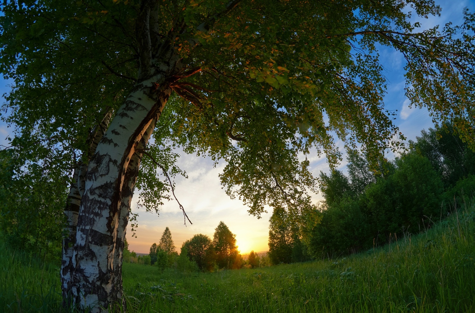 June evening in Siberia - My, Siberia, Nature, Sunset, HDR, Summer, Longpost, Prokopyevsk