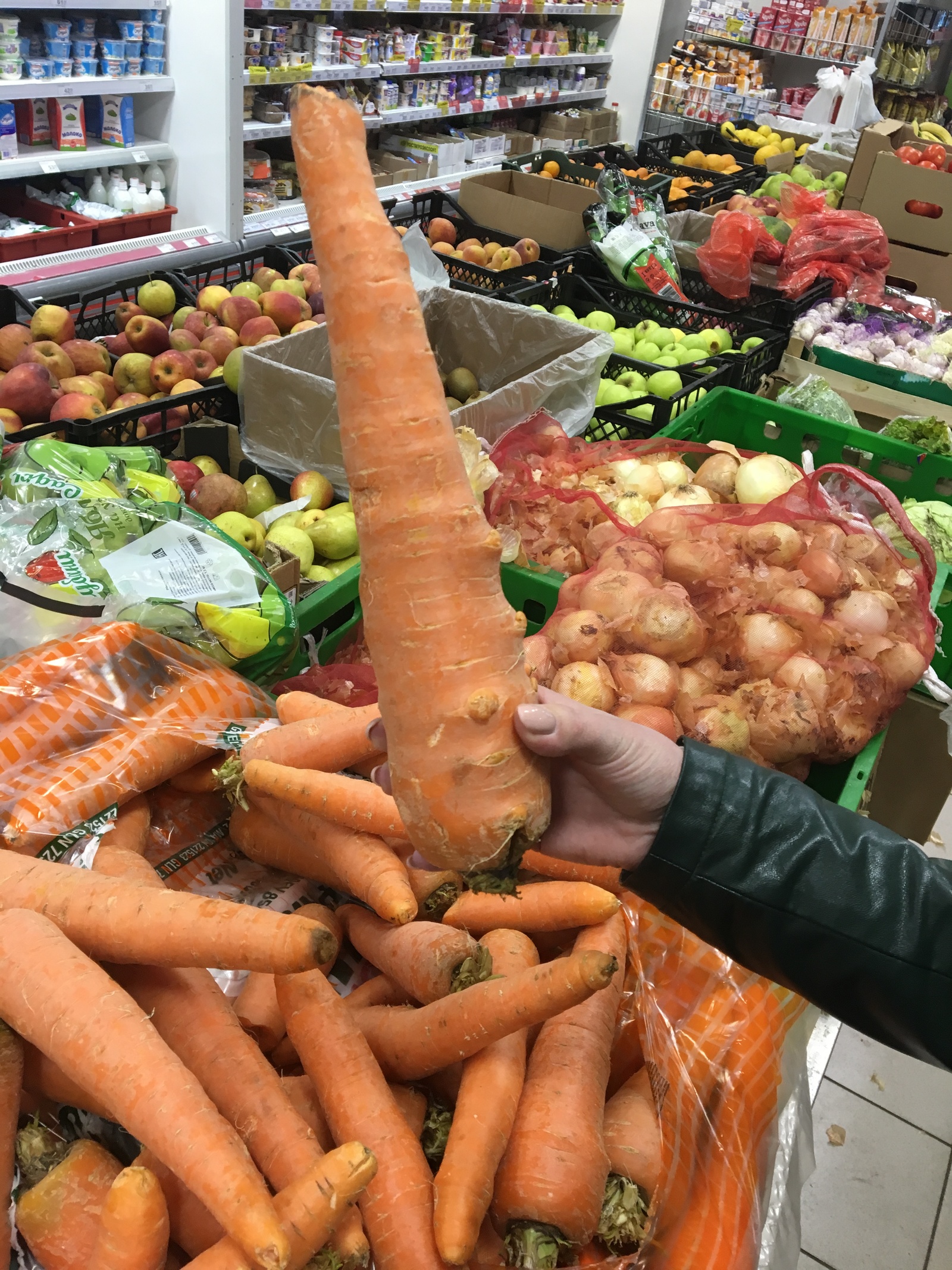 They told me to buy carrots for salad 0_o - My, Carrot, Score, Huge, Mutant, Israel, Longpost