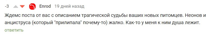 Как я исполнил мечту детства. Месяц спустя (Много фото) - Моё, Аквариум, Мечта, Длиннопост, Фотография