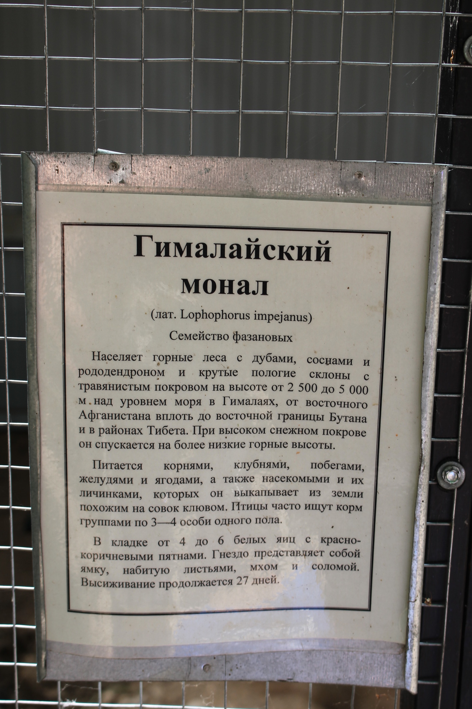 Путешествие в Зооград. Пушкинские горы - Моё, Псковская область, Зооград, Пушкинские горы, Длиннопост