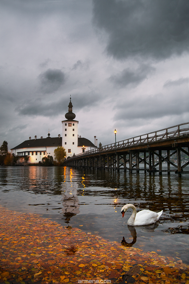 Orth Castle, Austria - My, Autumn, Austria, Swans