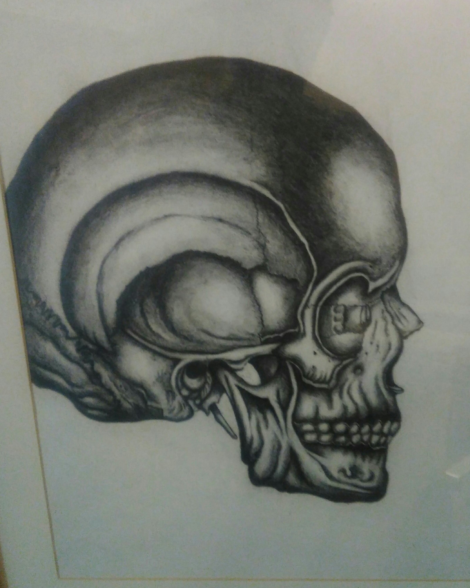 scull - My, Scull, Painting