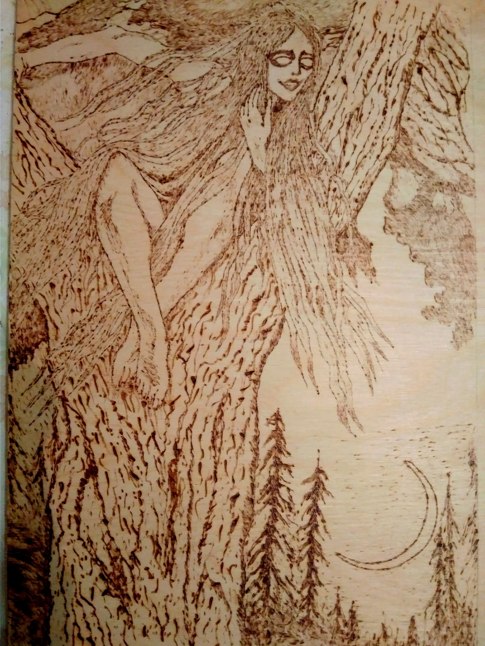 Burning out - My, Pyrography, Burning out, Images, Longpost