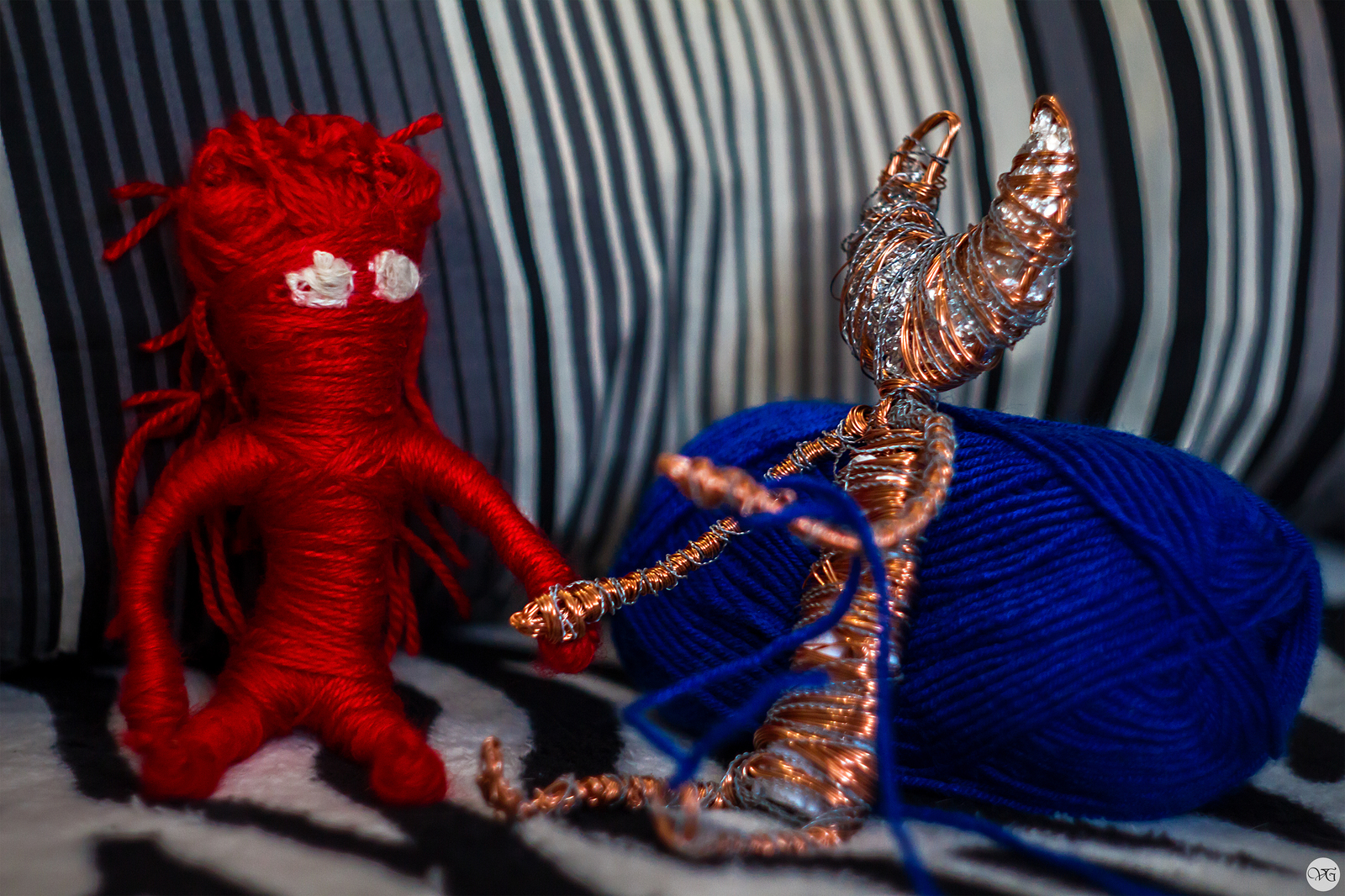 Yarni and a new friend! - My, Unravel, Friend, Beginning photographer, Canon, Adventures, Yarni, Longpost