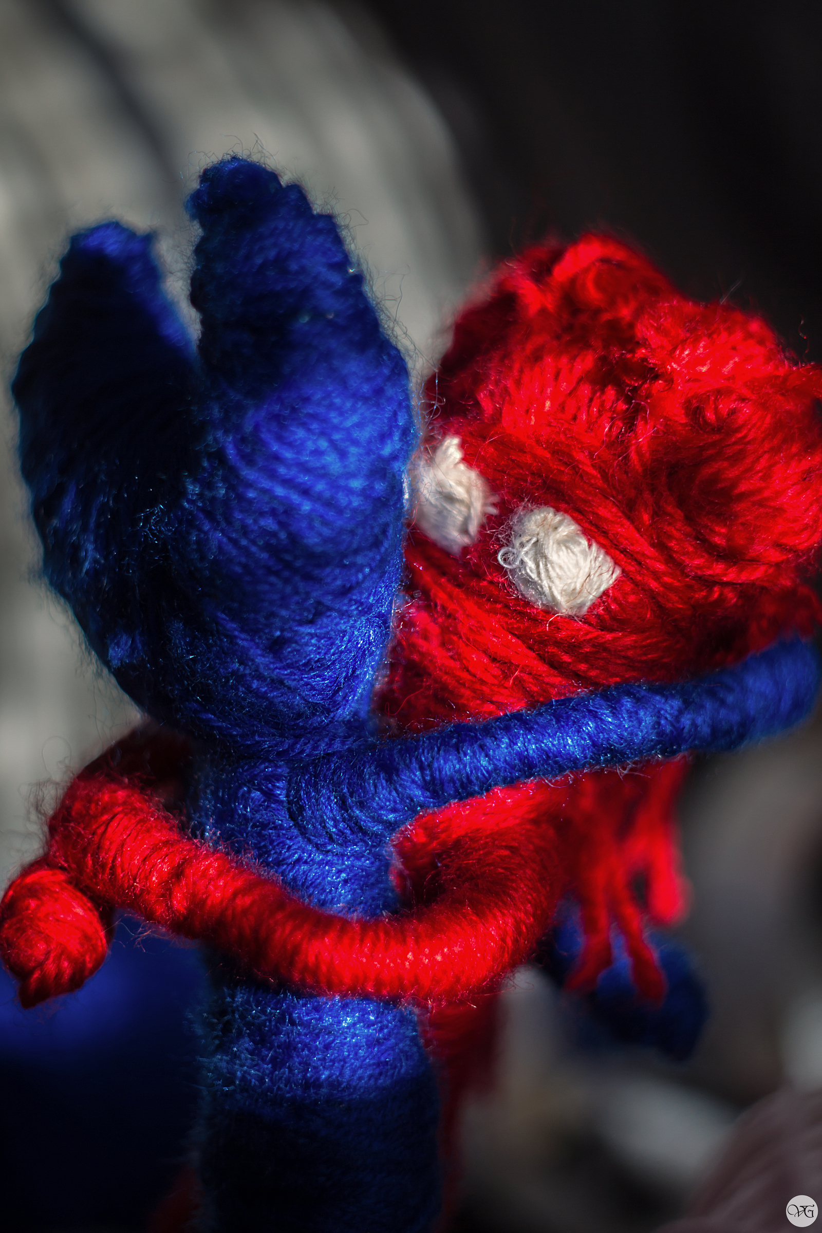 Yarni and a new friend! - My, Unravel, Friend, Beginning photographer, Canon, Adventures, Yarni, Longpost