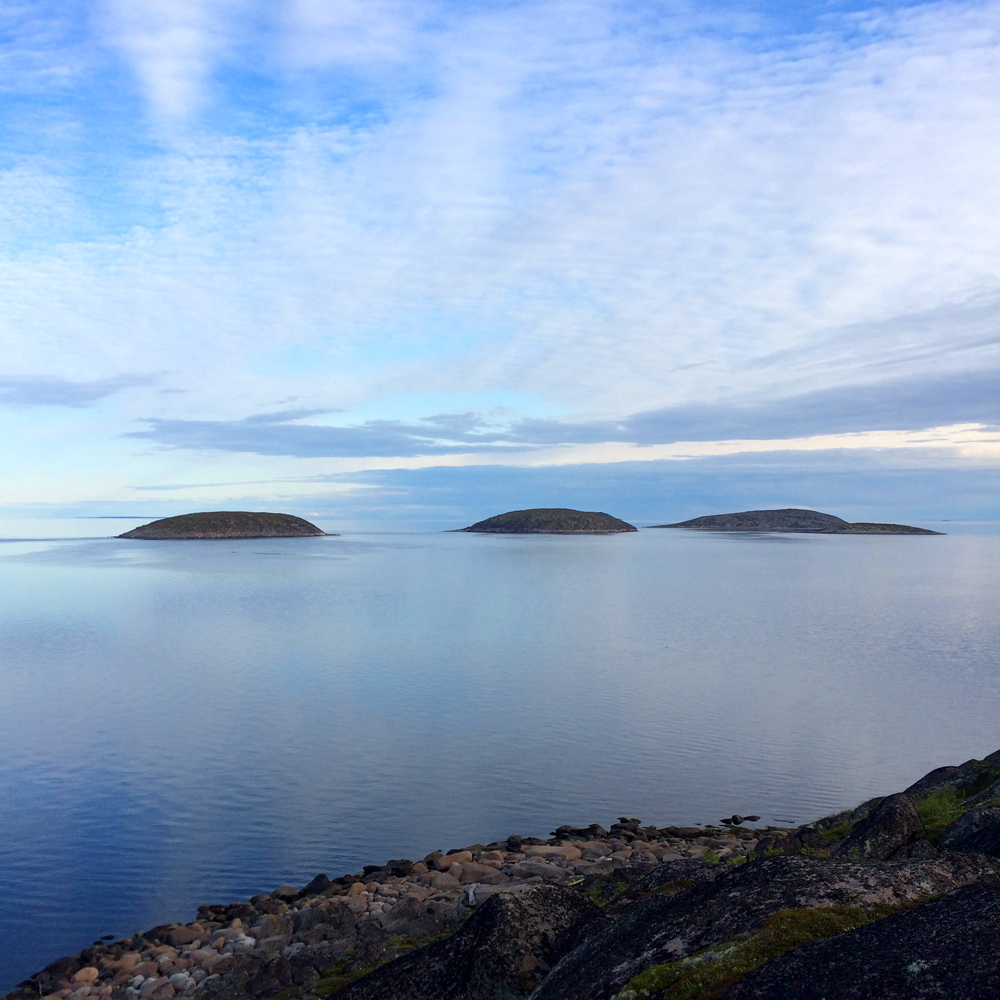 A few photos from a trip to the Kuzov archipelago in the White Sea - My, , White Sea, Rabocheostrovsk, Longpost, Kuzova Archipelago