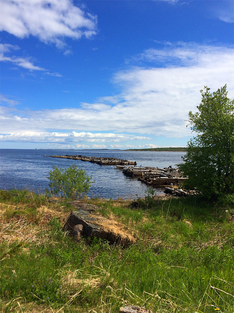 A few photos from a trip to the Kuzov archipelago in the White Sea - My, , White Sea, Rabocheostrovsk, Longpost, Kuzova Archipelago